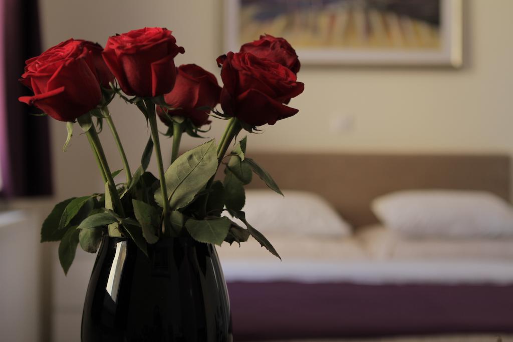 Studio Dolac Centar Apartma